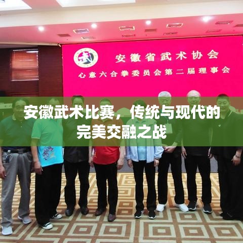 安徽武術(shù)比賽，傳統(tǒng)與現(xiàn)代的完美交融之戰(zhàn)