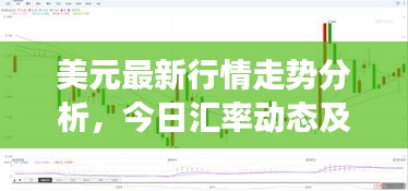 美元最新行情走勢(shì)分析，今日匯率動(dòng)態(tài)及市場(chǎng)解讀