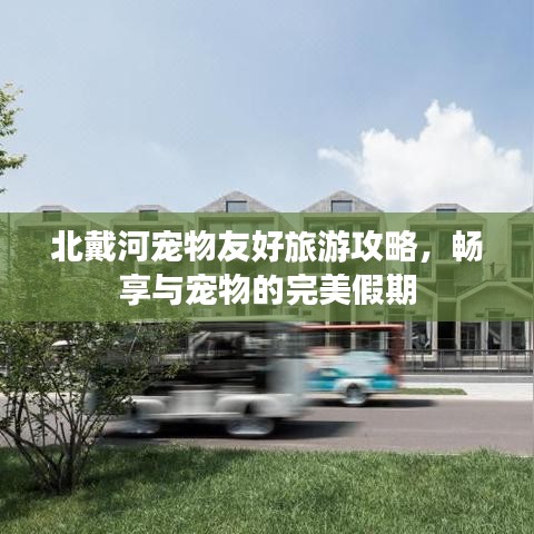 北戴河寵物友好旅游攻略，暢享與寵物的完美假期