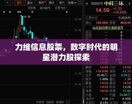 力維信息股票，數(shù)字時(shí)代的明星潛力股探索