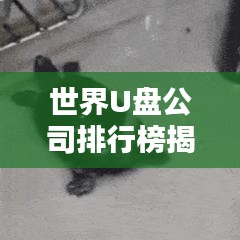 世界U盤公司排行榜揭曉，行業(yè)巨頭一覽無余！