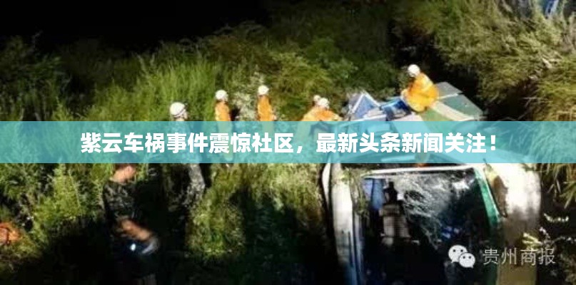 紫云車(chē)禍?zhǔn)录痼@社區(qū)，最新頭條新聞關(guān)注！