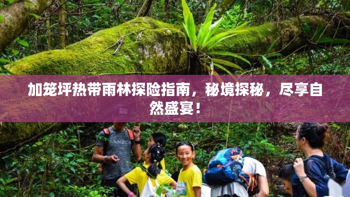加籠坪熱帶雨林探險指南，秘境探秘，盡享自然盛宴！