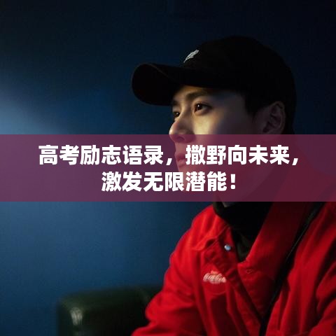 高考勵(lì)志語錄，撒野向未來，激發(fā)無限潛能！