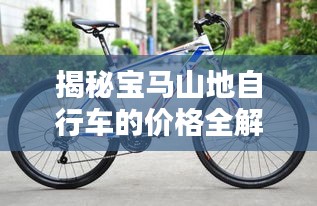 揭秘寶馬山地自行車的價(jià)格全解析！