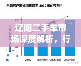 遼陽二手車市場深度解析，行情、趨勢與前景展望
