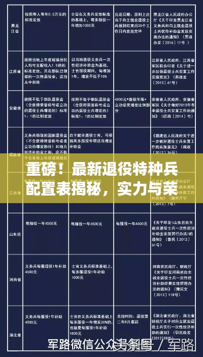 重磅！最新退役特種兵配置表揭秘，實(shí)力與榮耀并存