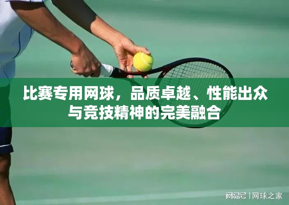 比賽專用網(wǎng)球，品質(zhì)卓越、性能出眾與競技精神的完美融合